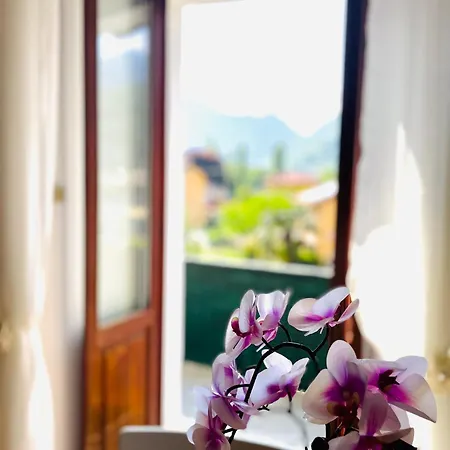 Apartman Vanda House